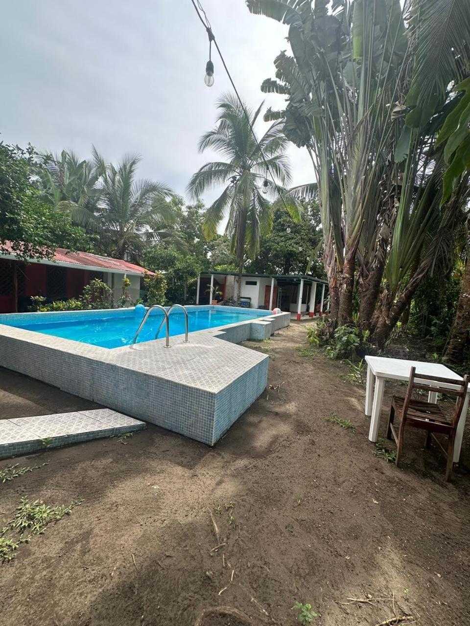 Hotel Don Quichotte Tortuguero Exterior foto